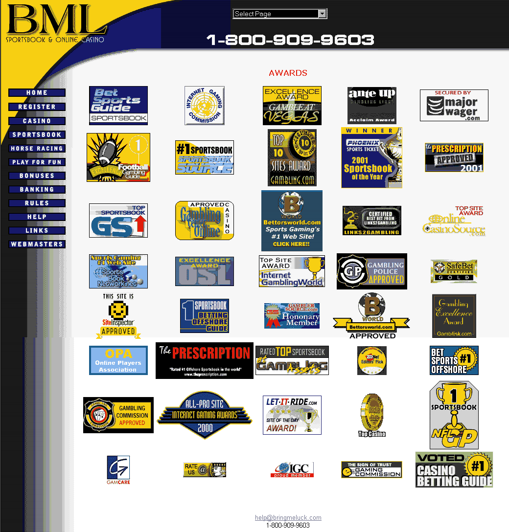 Deceptive Award Section: Bringmeluck.com