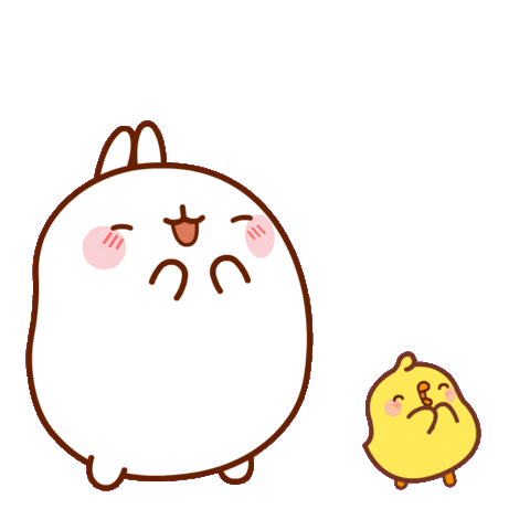 11.gif