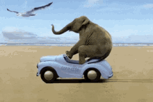 1123.gif