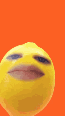 1686552046424.gif