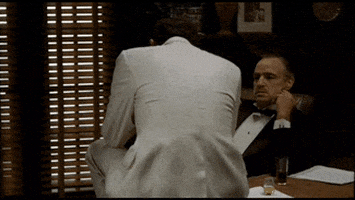 1691510523395.gif