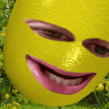 1718647529224.gif
