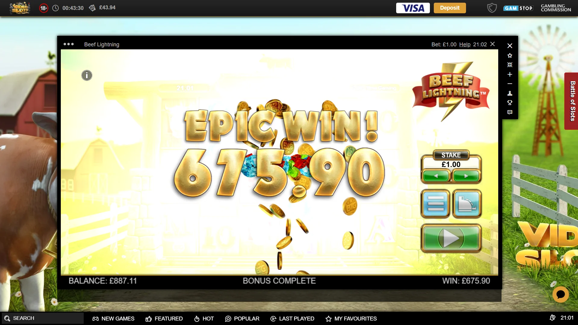 1770411943530.webp