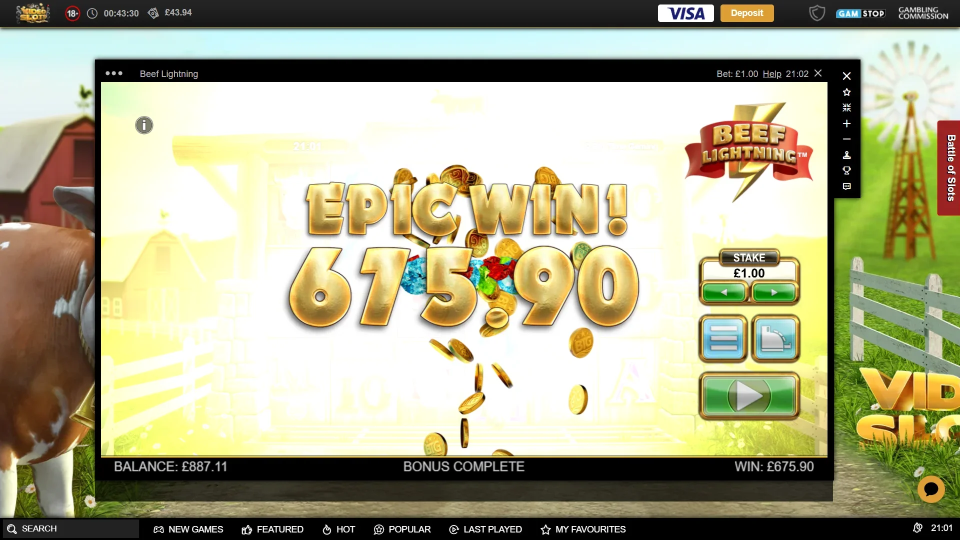 1770416663616.webp