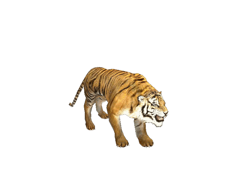 2.gif