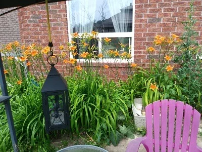 20190711_133033_resized.webp