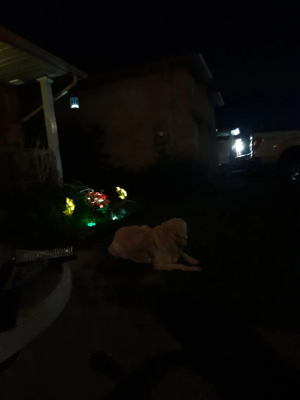 20200616_223432.webp
