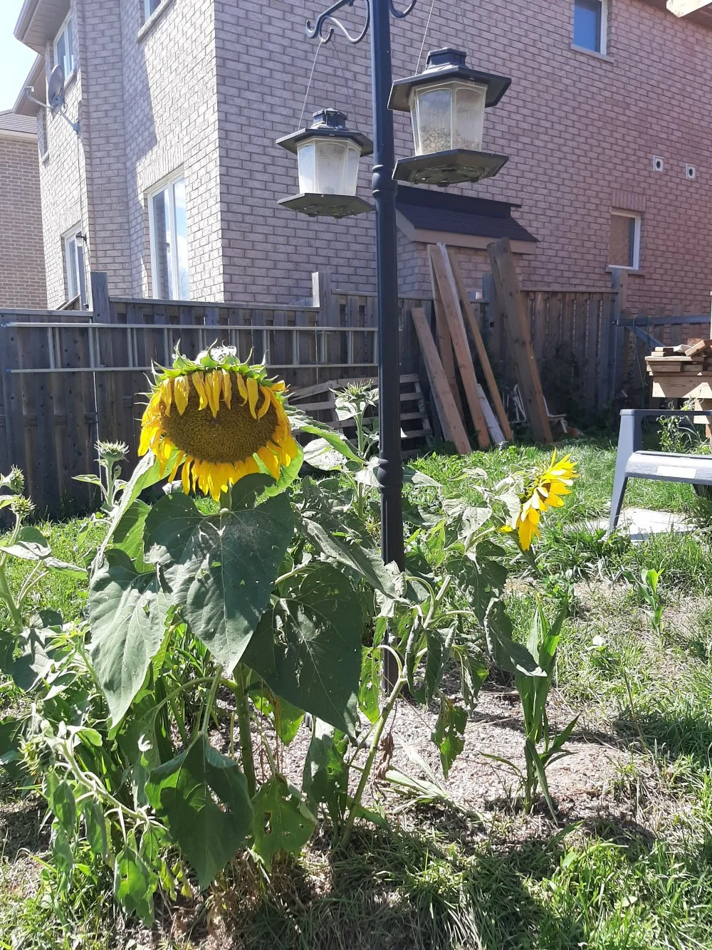 20200807_145830.webp