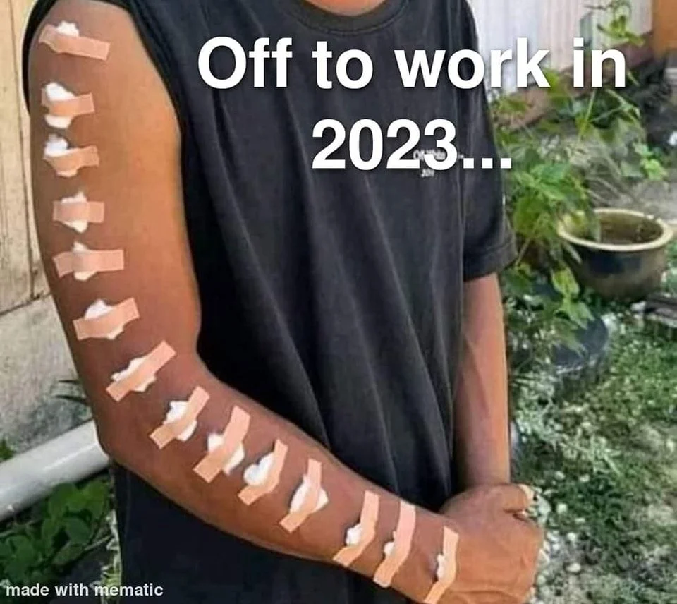 271664091_5354403354588781_5735534715598484860_n.webp