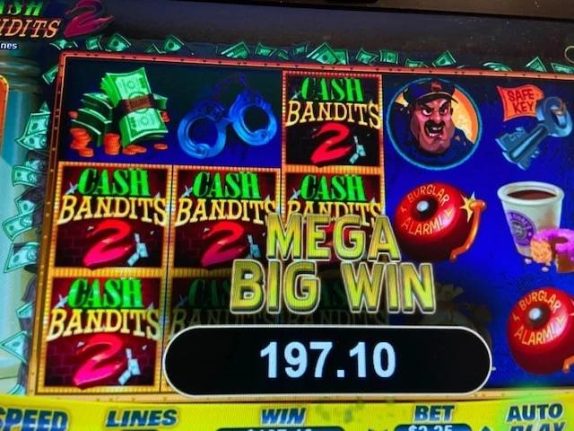 3111122.jpg
