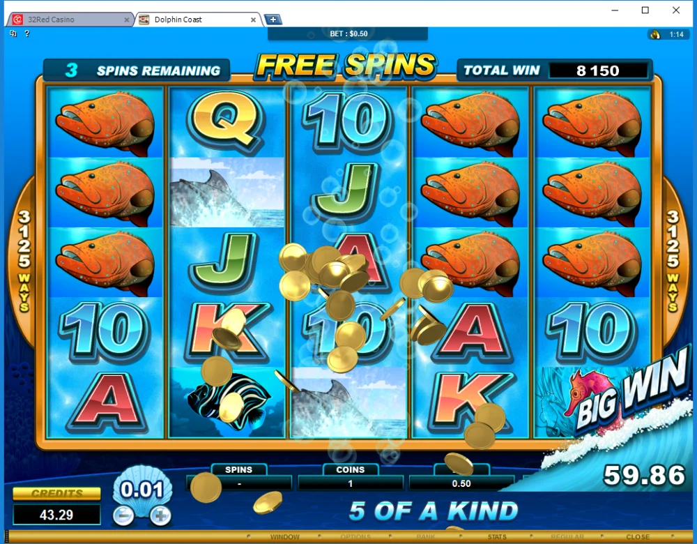 32Red_120x_hitinbonus_Dolphin_Coast_20190329.webp