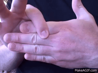 4.gif
