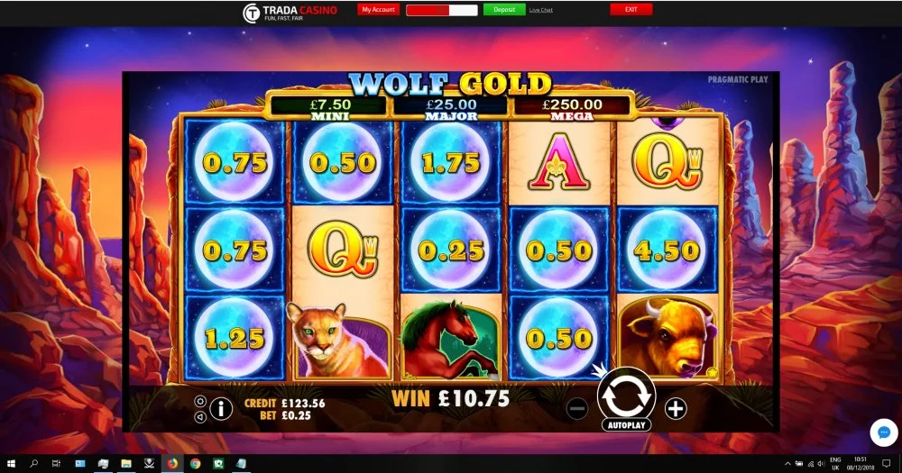 43 x - Wolf Gold - Trada.webp
