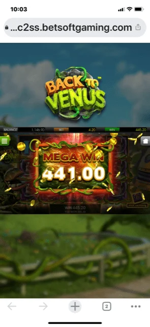 54444.webp