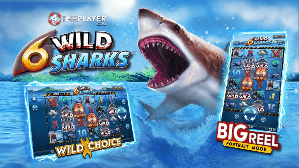 6 Wild Shark Image.webp