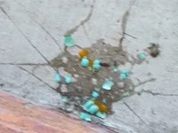 60338143_10157067610582165_8724036248508825600_n.webp