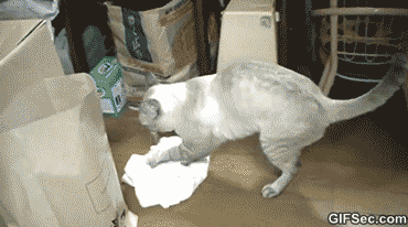 61jSAGk.gif