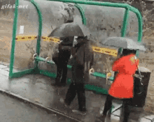 65.gif