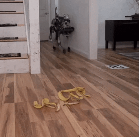 66.gif