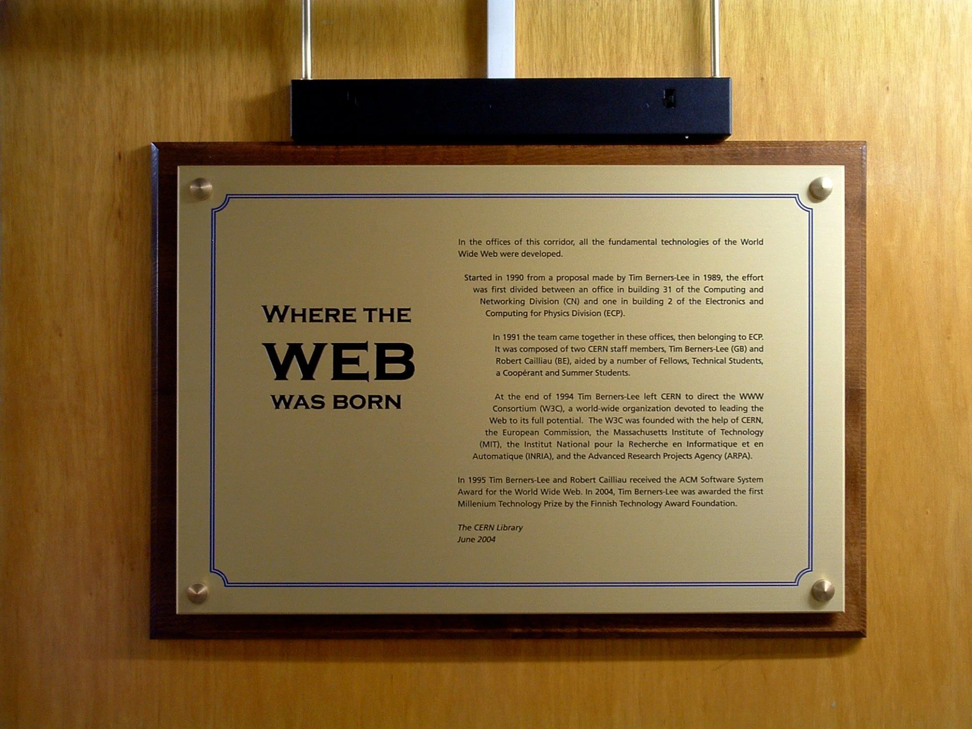 78.webp