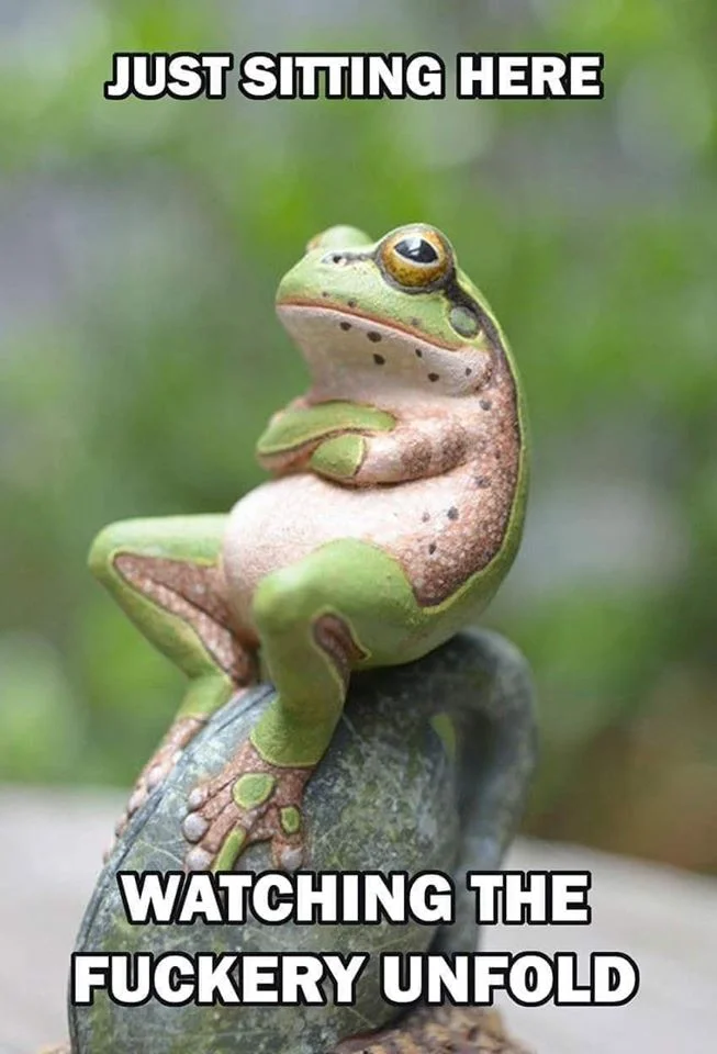 89933399_10159293811843238_4340849933406961664_o.webp