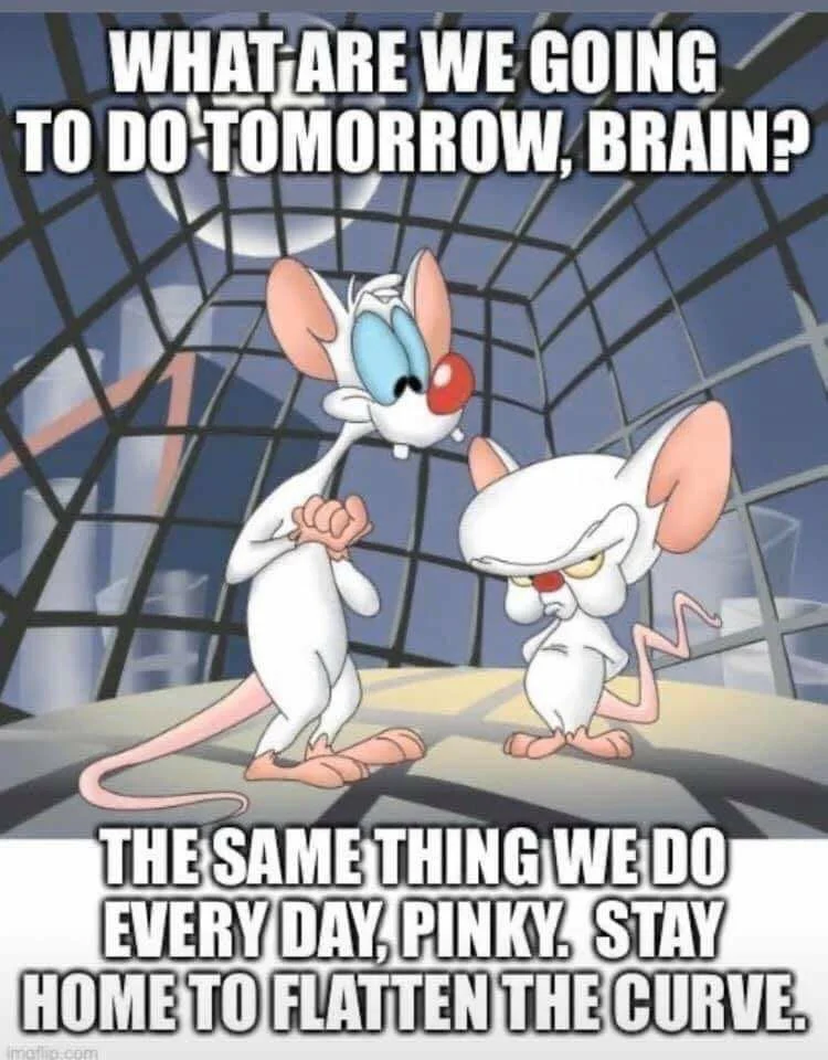 91459103_10157152239228907_3525086505452175360_n.webp