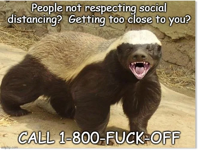 9226CE34-F7EC-4F49-B9A6-EA7A559C55B7.webp