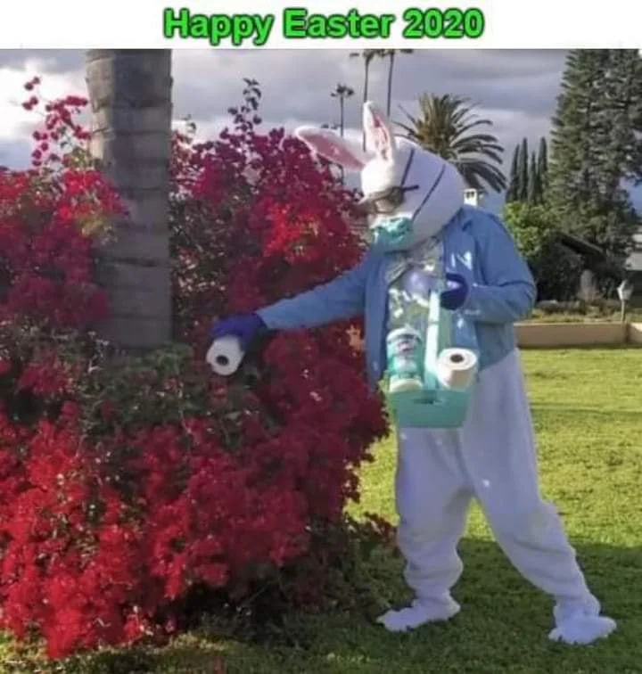 93478337_2813586208756022_566484024311152640_n.webp