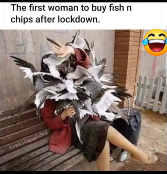 94701486_1062727017445030_2271731468415795200_n.webp