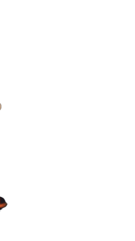 a.gif