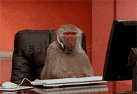 a.gif