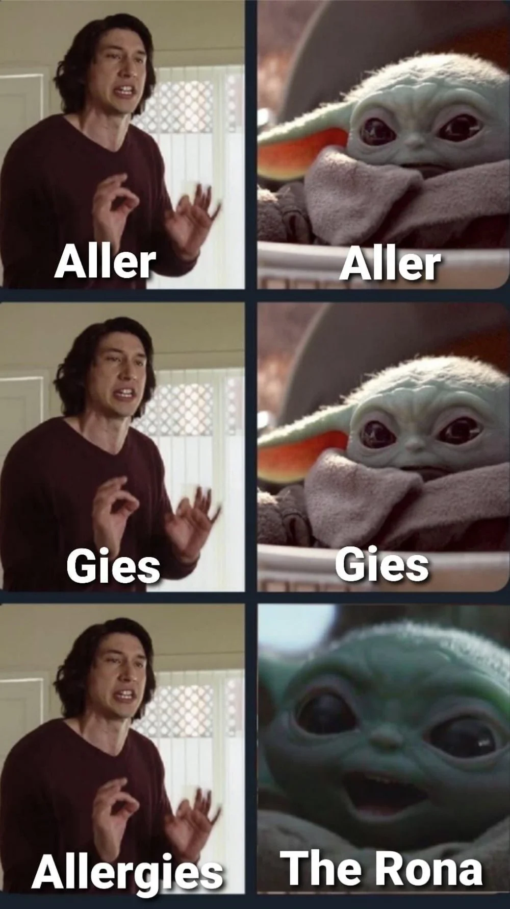 allerg.webp