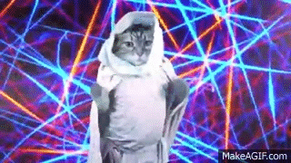 As requested, I bring you rave cat - Imgur.gif