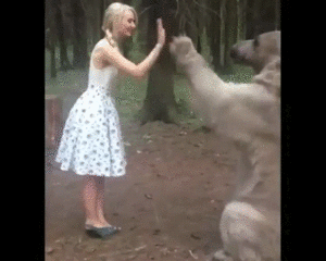 asa.gif