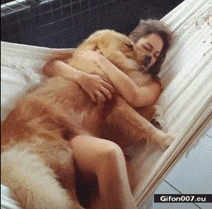 asdasd.gif