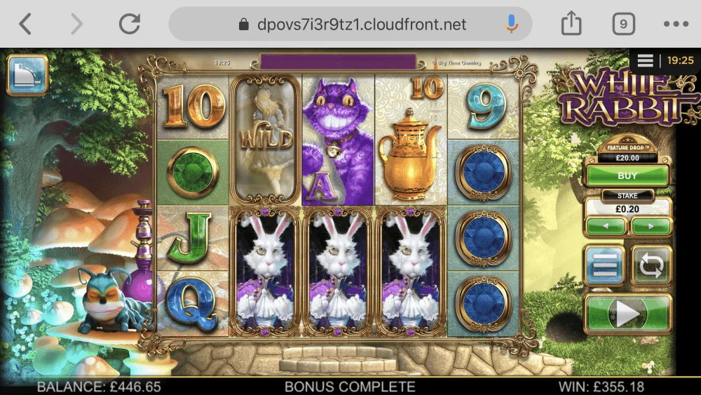 114233