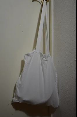 bagofdicks.webp