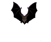bat.gif