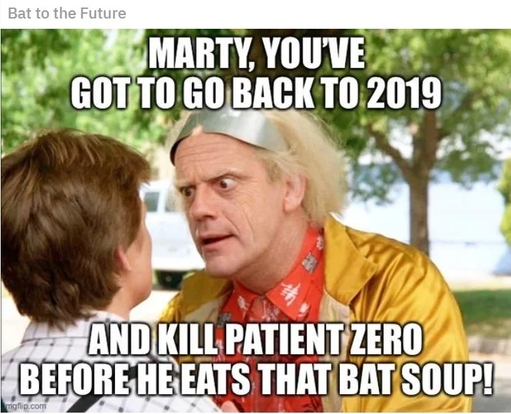 bat.webp