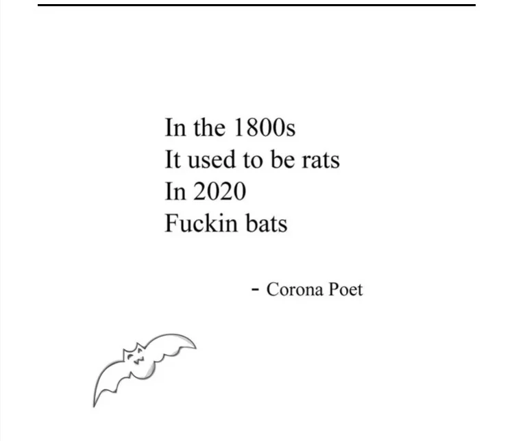 bats.webp