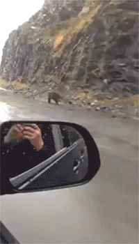 be.gif