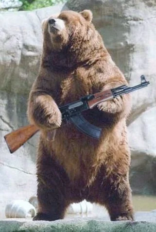 bear.jpg