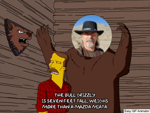bear3.gif