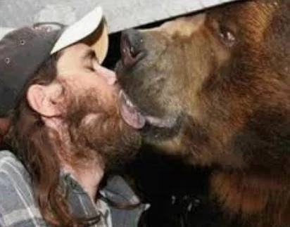bears.webp