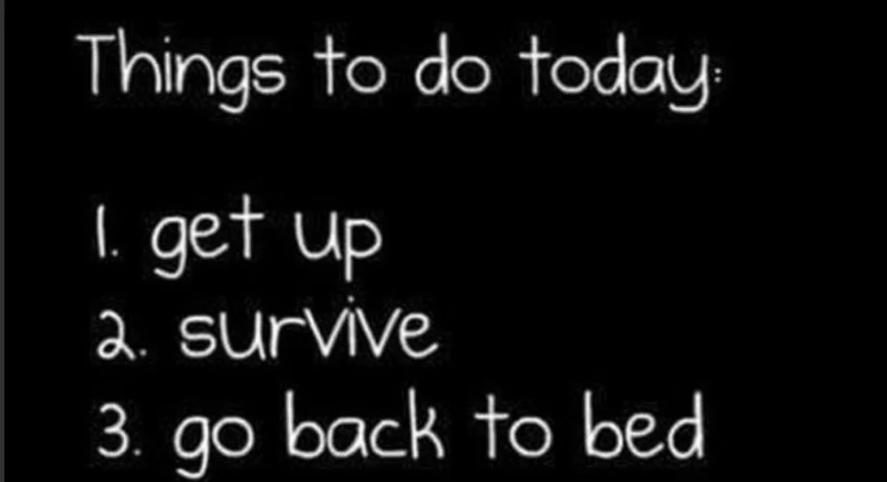 best laid plans.webp