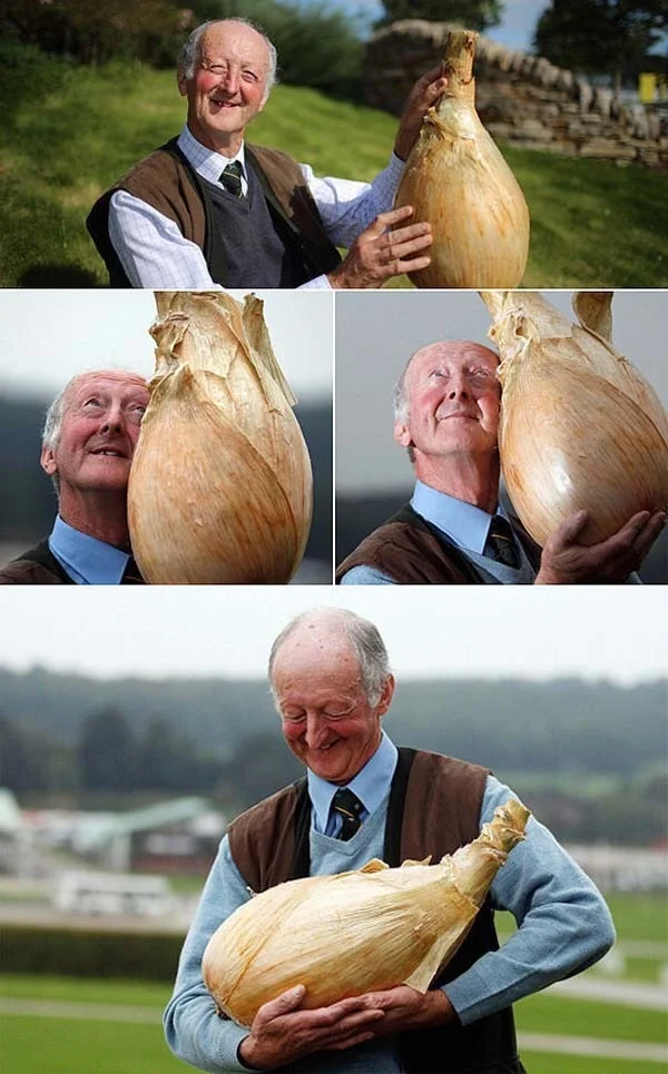 Big onion.webp