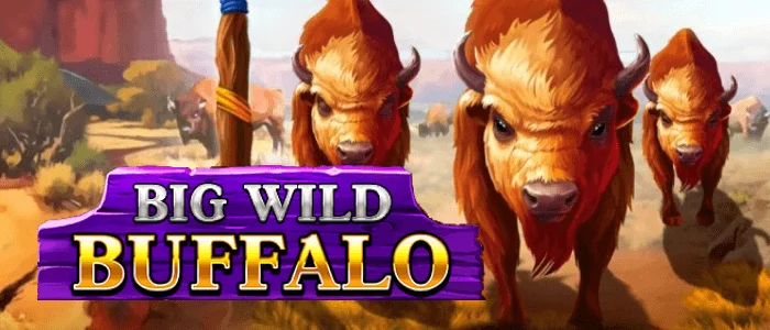 big_wild_buffalo.webp