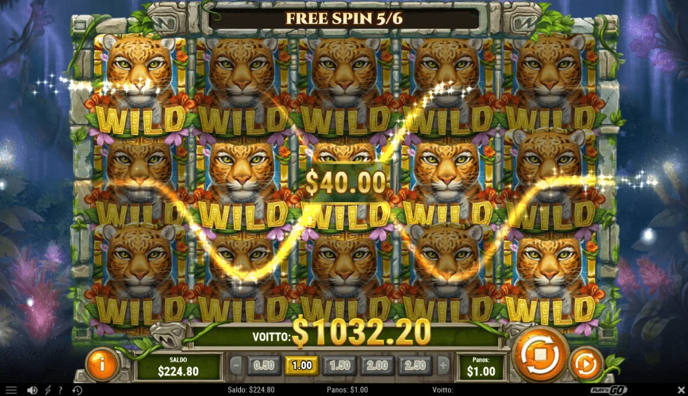 bigwin18.webp