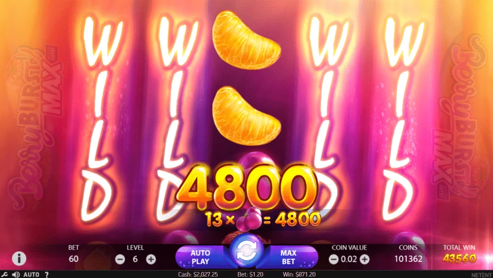 bigwin24.webp