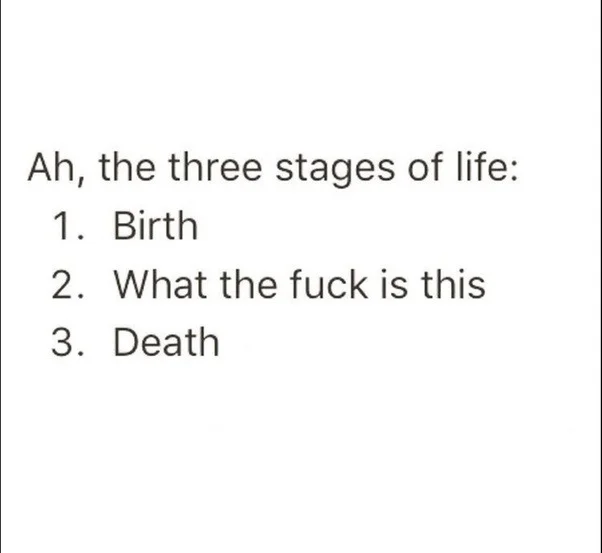Birth and death.webp